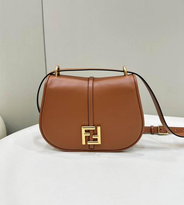 Fendi Handbags 4